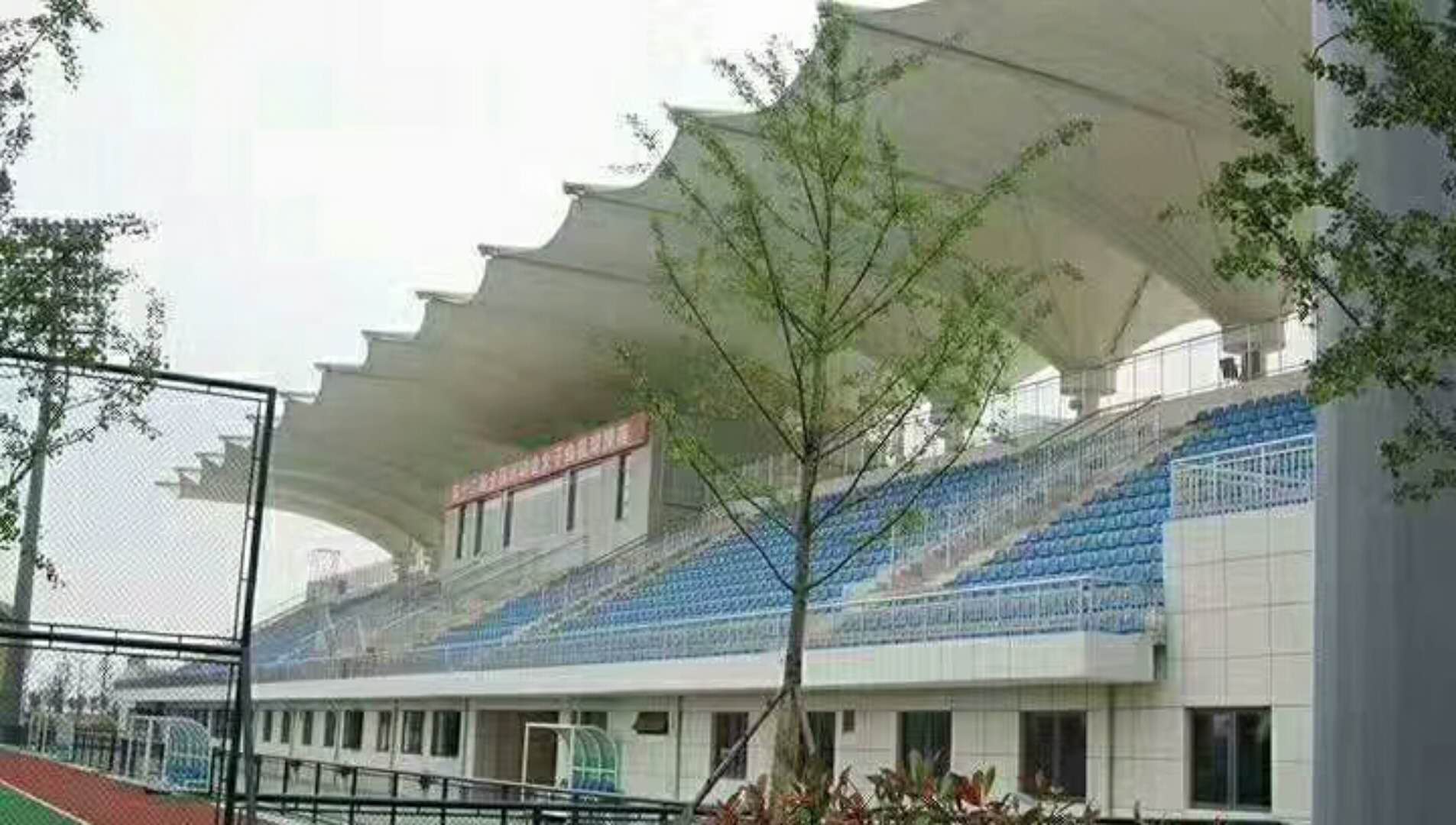 体育膜结构